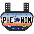 Phenom Elite Football Back Plate - South Carolina